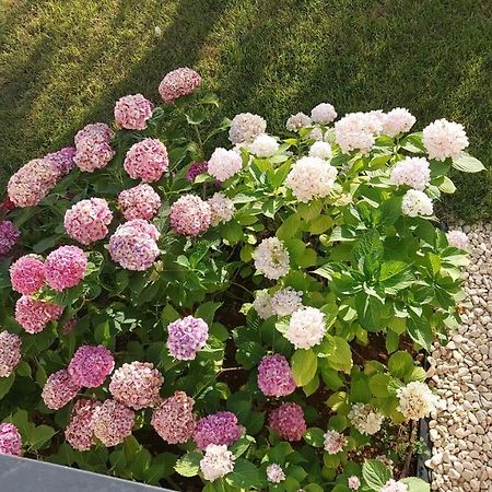 La Casa Di Francesca B&B Con Parcheggio Privato Porto Cesareo Kültér fotó